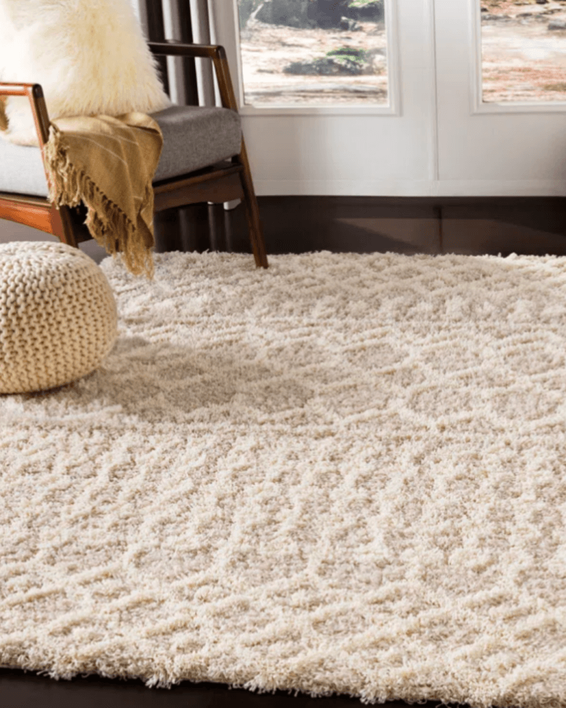 bulldog cleaning area rugs las vegas