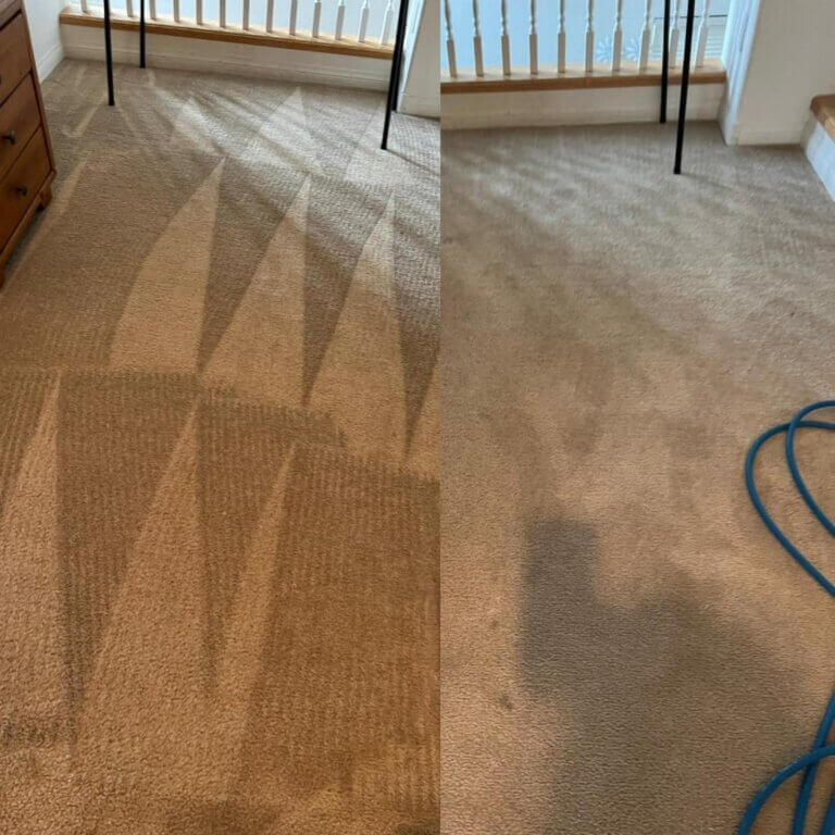 carpet cleaning before and after