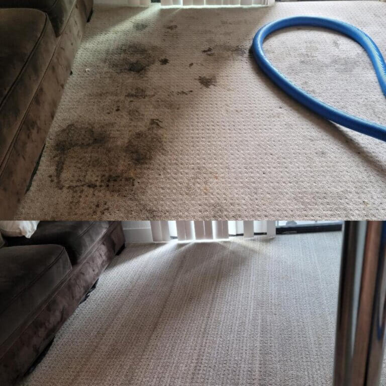 carpet cleaning before and after