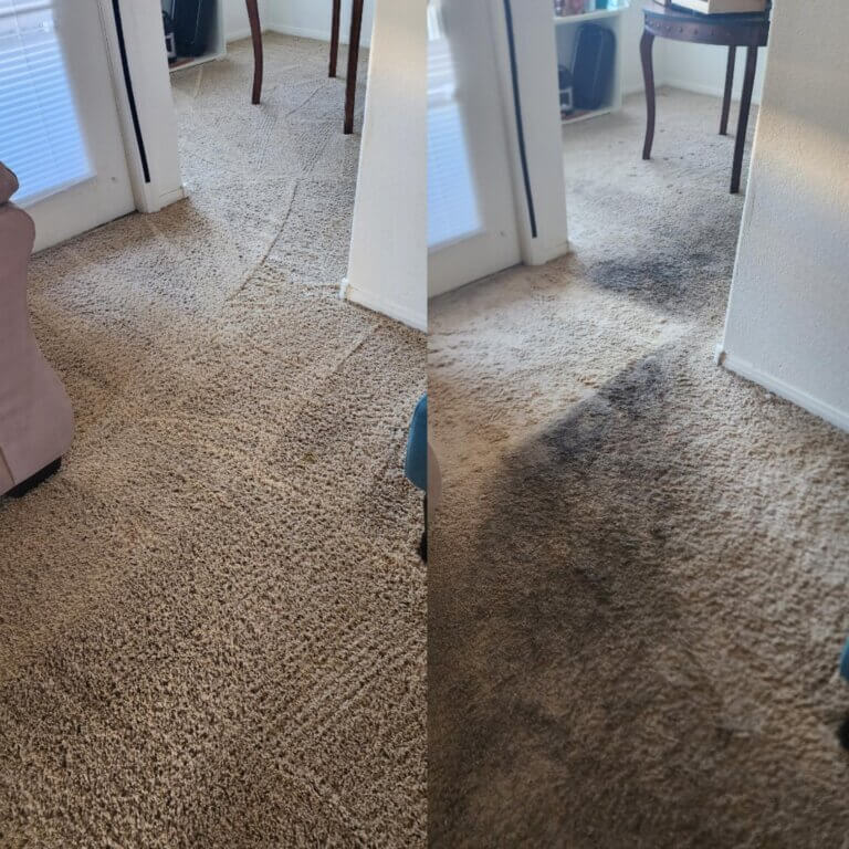 carpet cleaning before and after