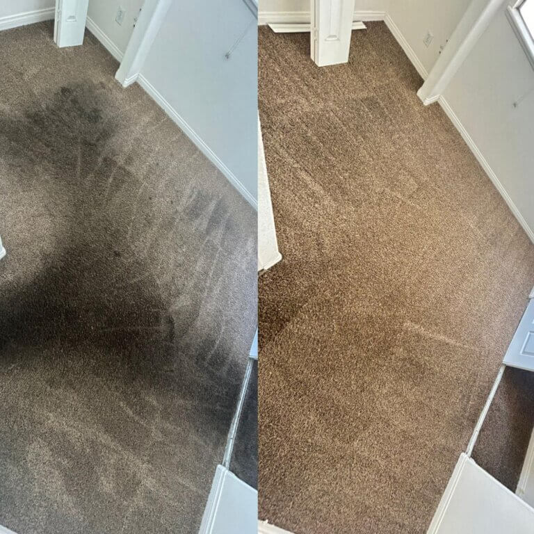 carpet cleaning after and before result show