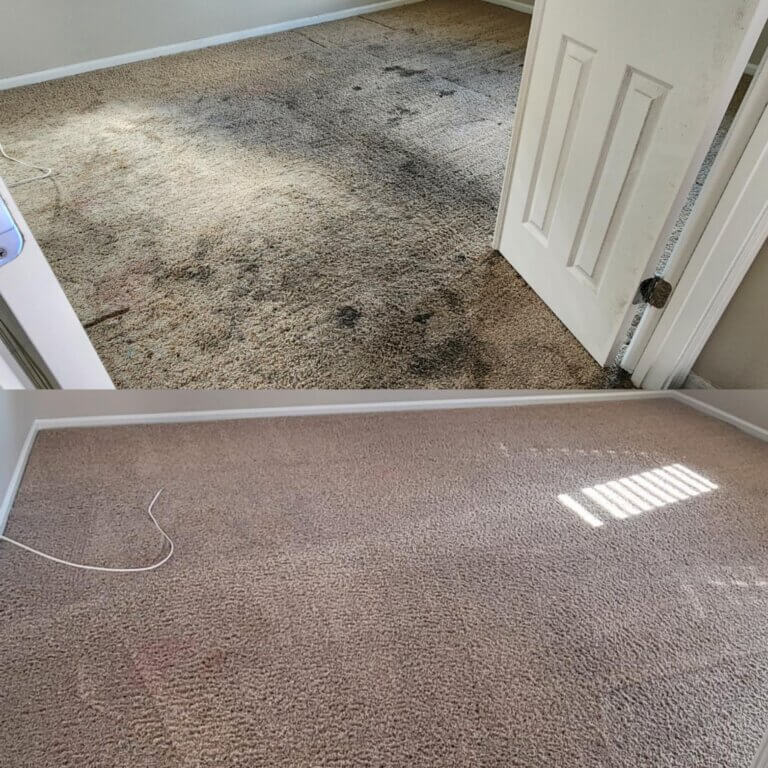 carpet cleaning before and after