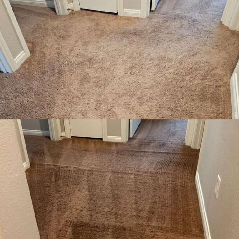 carpet cleaning result