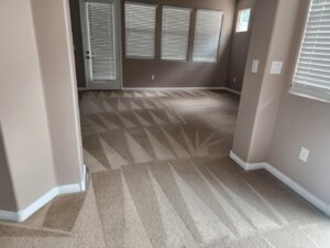 spring cleaning guide