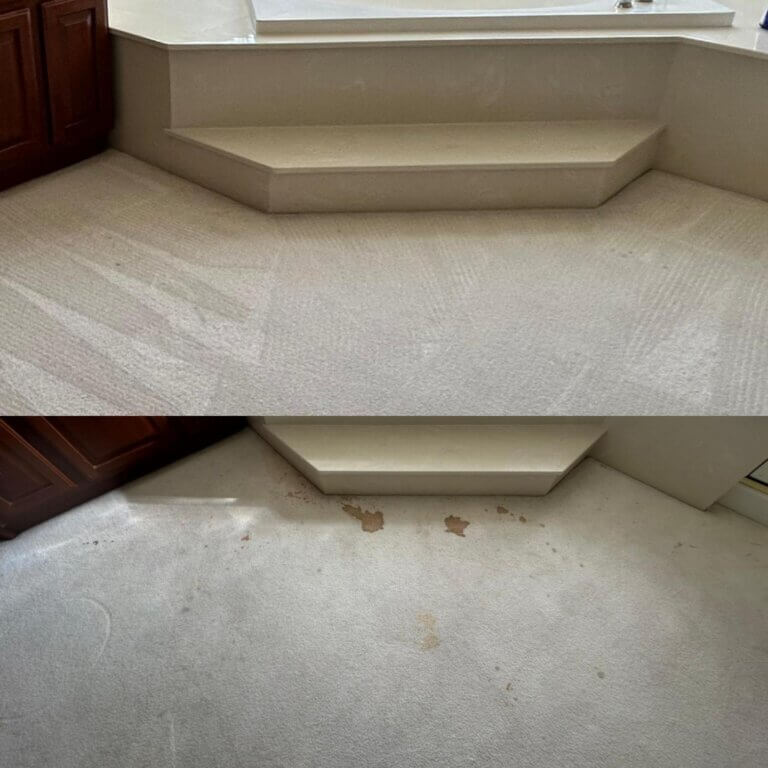 carpet cleaning professional service