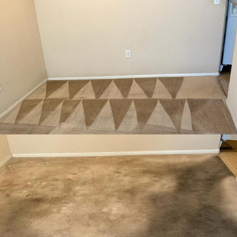 carpet transformation