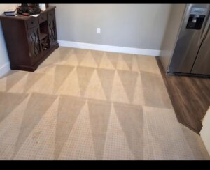 pet odor carpet cleaning