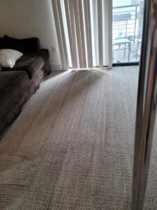 pet odor carpet cleaning